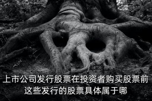 非流通股面向什么人，什么是A股B股和H股