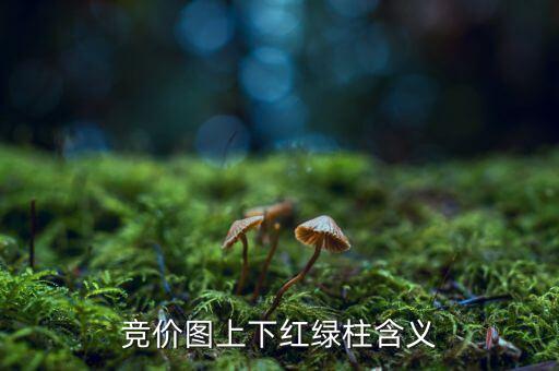 股票競(jìng)價(jià)圖是什么意思，股票競(jìng)價(jià)圖怎么看