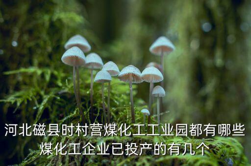 磁縣黑貓生產(chǎn)什么，黑貓是什么廠