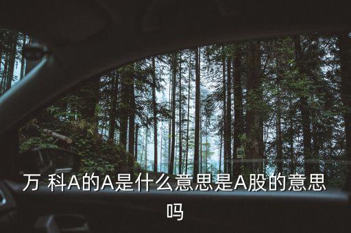 萬(wàn)得全a什么意思，萬(wàn)花筒A是什么意思