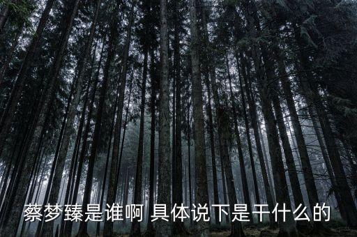 蔡夢(mèng)臻是誰(shuí)啊 具體說(shuō)下是干什么的