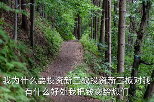 為什么投資新三板，我為什么要投資新三板投資新三板對我有什么好處我把錢交給您們