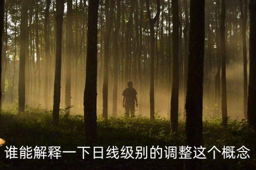誰(shuí)能解釋一下日線級(jí)別的調(diào)整這個(gè)概念