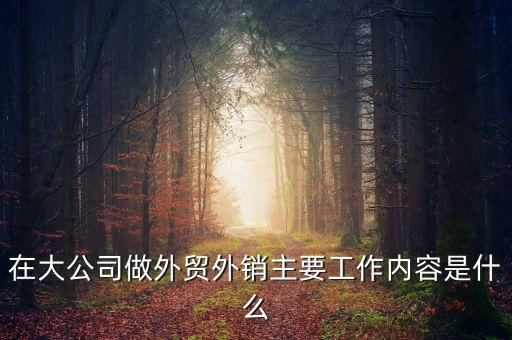在大公司做外貿外銷主要工作內容是什么