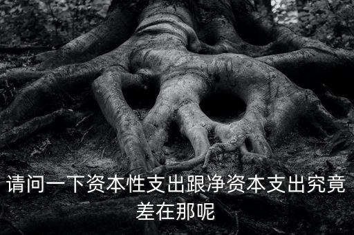 資本支出是什么，資本支出與費用的區(qū)別