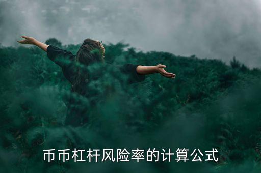 幣幣杠桿風(fēng)險(xiǎn)率的計(jì)算公式