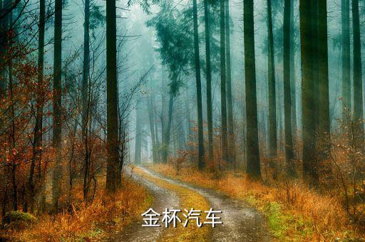 金杯汽車什么時侯改革，金杯面包車哪年起是黃標(biāo)車