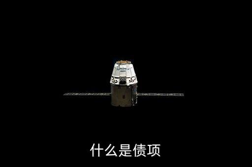 債券承做是什么，債券承銷服務(wù)項目政府采購招標(biāo)是什么意思