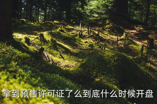 久之洋什么時候開盤，新股申購中簽300516什么時候開盤