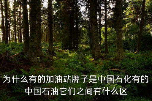 為什么中石化和中石油不，中石油中石化中海油為什么不合并