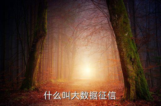 大數(shù)據(jù)征信模式是什么，11315是如何實現(xiàn)大數(shù)據(jù)征信的
