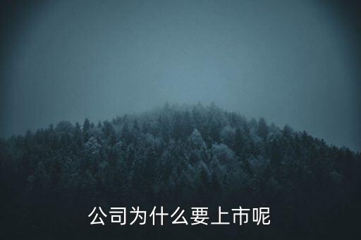 公司為什么要上市呢