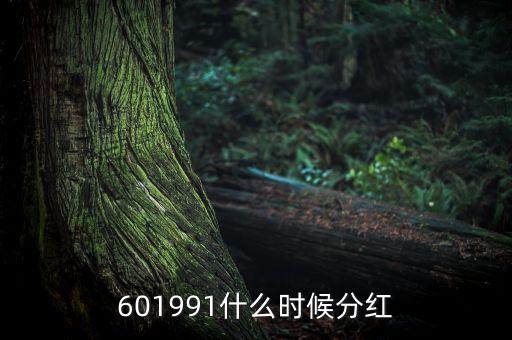 601991什么時候分紅