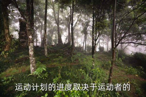 進(jìn)度安排的靈活性是什么決定，運(yùn)動(dòng)計(jì)劃的進(jìn)度取決于運(yùn)動(dòng)者的