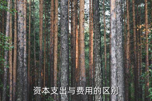 資本支出與費(fèi)用的區(qū)別
