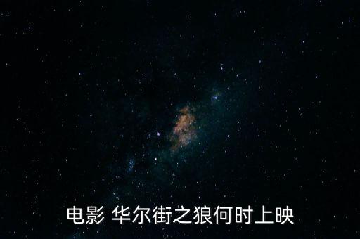 華爾街之狼什么時候上映，電影 華爾街之狼何時上映