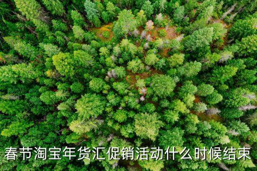 春節(jié)淘寶年貨匯促銷活動(dòng)什么時(shí)候結(jié)束