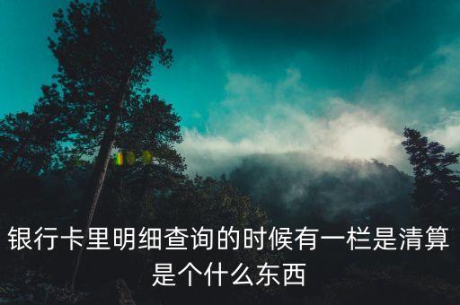 什么是銀行卡清算，銀行卡里明細(xì)查詢的時(shí)候有一欄是清算是個(gè)什么東西