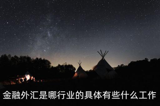 什么是金融外匯銷售行業(yè)，金融外匯是哪行業(yè)的具體有些什么工作