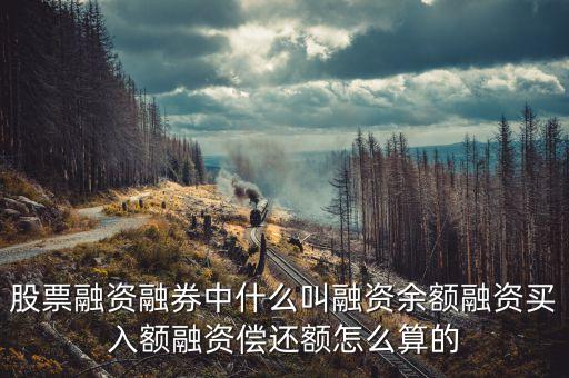 股票融資融券中什么叫融資余額融資買(mǎi)入額融資償還額怎么算的