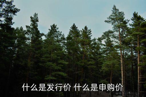 什么是發(fā)行價(jià) 什么是申購價(jià)