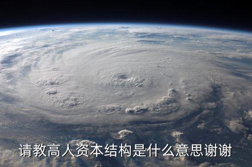 請(qǐng)教高人資本結(jié)構(gòu)是什么意思謝謝