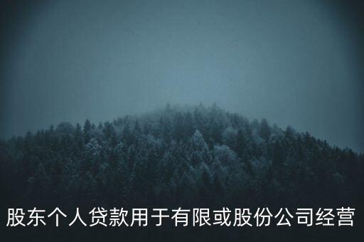 股東個人貸款用于有限或股份公司經營