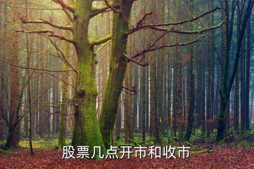 匯鴻股份什么時候開盤，股票幾點開盤幾點收盤啊