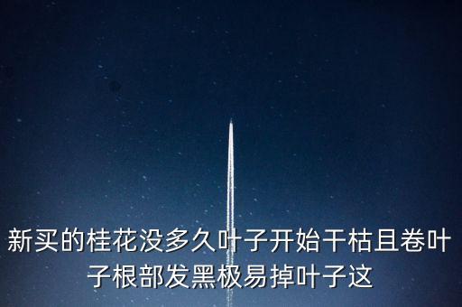 桂花樹過剩什么時候能緩解，盆栽的桂花為什么老掉葉子