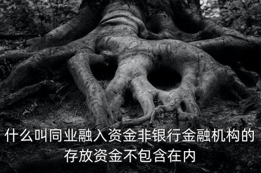 什么是同業(yè)融出，什么是同業(yè)融入 什么是金融同業(yè)存款