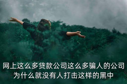 網(wǎng)上這么多貸款公司這么多騙人的公司為什么就沒(méi)有人打擊這樣的黑中