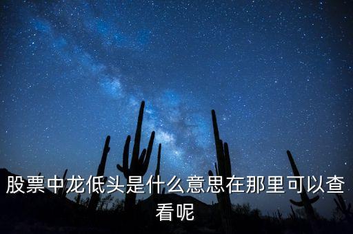 中龍是什么股票，帶龍字的股票有哪些