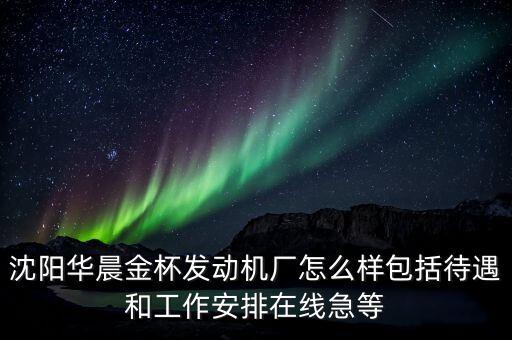 沈陽華晨金杯什么崗位最好，我想進(jìn)華晨金杯生產(chǎn)線 不知道干什么好 問問各位大蝦什么崗位好啊 綜