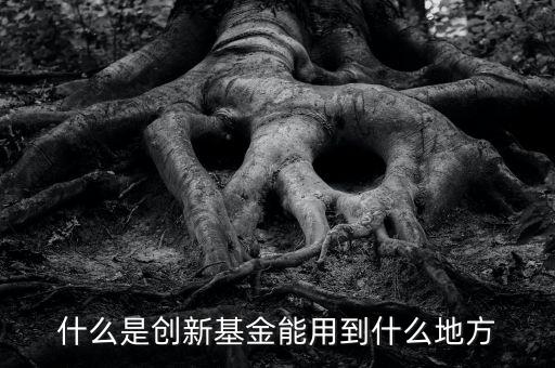 什么是創(chuàng)新型基金，什么是創(chuàng)新型基金 創(chuàng)新型基金有哪些