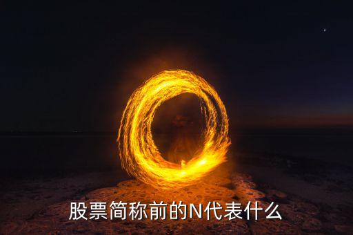 股票前帶n是什么意思，一些股票中前面的N是什么意思