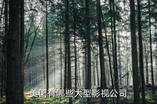 波士頓有什么大公司，美國有哪些大型影視公司