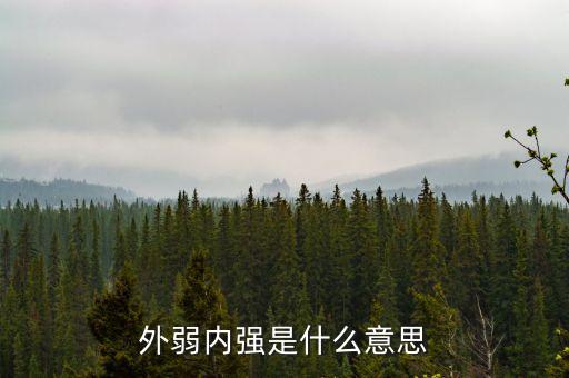 外弱內(nèi)強的是什么，外弱內(nèi)剛是什么意思