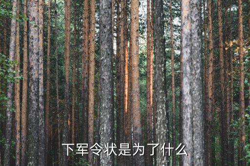 軍令狀目的是什么，下軍令狀是為了什么