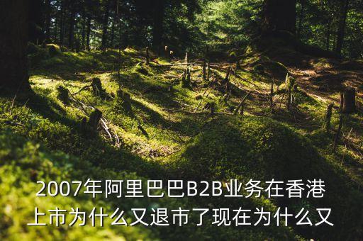 2007年阿里巴巴B2B業(yè)務(wù)在香港上市為什么又退市了現(xiàn)在為什么又