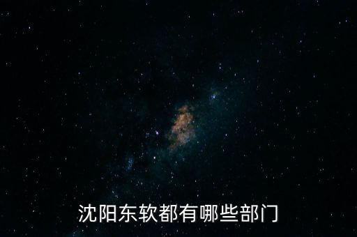 沈陽東軟erp事業(yè)部做什么，東軟軟件產(chǎn)品部