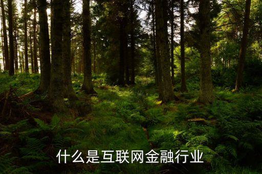 互聯網金融業(yè)是什么，互聯網金融是什么