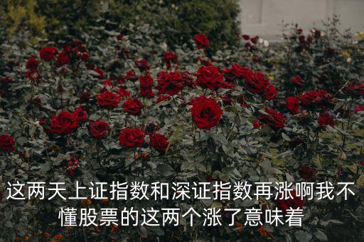 這兩天上證指數(shù)和深證指數(shù)再漲啊我不懂股票的這兩個(gè)漲了意味著