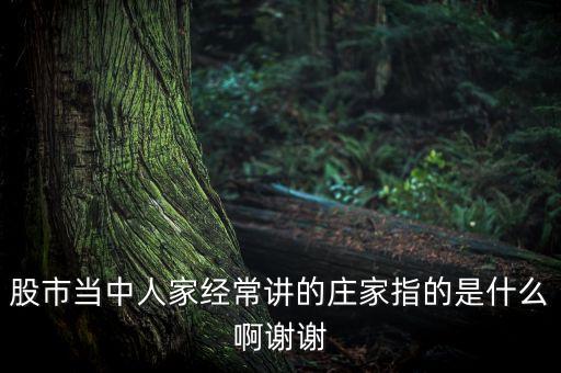 股市當中人家經(jīng)常講的莊家指的是什么啊謝謝