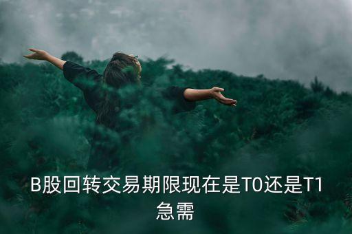 B股回轉(zhuǎn)交易期限現(xiàn)在是T0還是T1急需