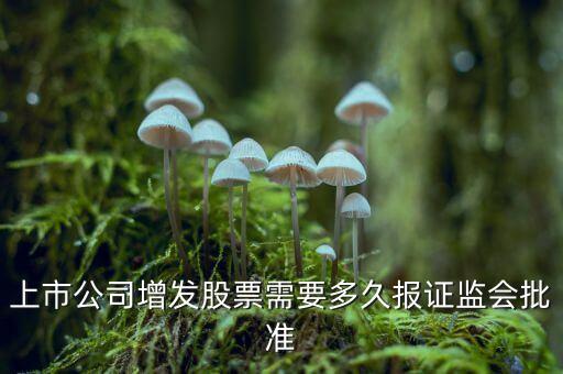 股票增發(fā)什么時候批準(zhǔn)，股票增發(fā)獲批一般要多久才正式增發(fā)