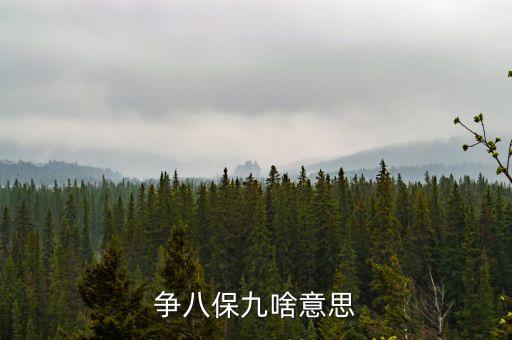 保八爭(zhēng)十超萬億是什么，2008年我國投入400億就是為了實(shí)現(xiàn)GDP保八爭(zhēng)六的目標(biāo)保八