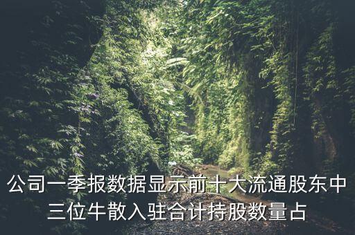 公司一季報(bào)數(shù)據(jù)顯示前十大流通股東中三位牛散入駐合計(jì)持股數(shù)量占