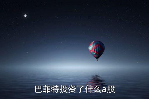 巴菲特投資了什么a股