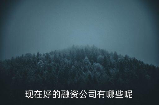 融資什么公司，什么要的公司可以融資