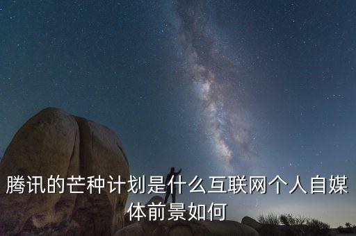 什么是芒種計(jì)劃，騰訊的芒種計(jì)劃是什么互聯(lián)網(wǎng)個(gè)人自媒體前景如何